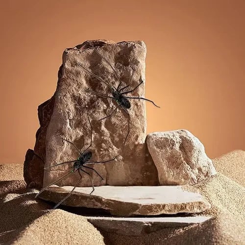 🏆New Year Sale 49% OFF🕷Spider Fridge Magnet 🎁Realistic Spider Magnets, for Refrigerator, Garage Door, or Car